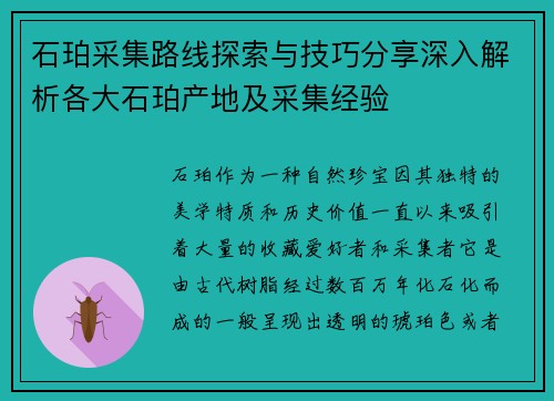 石珀采集路线探索与技巧分享深入解析各大石珀产地及采集经验 石珀采集路线探索与技巧分享深入解析各大石珀产地及采集经验